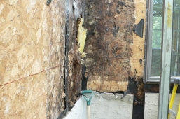 MoistureDamage_3-257x170_c