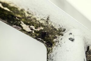 Professional Home Mold Assessment in Indianapolis | R2F