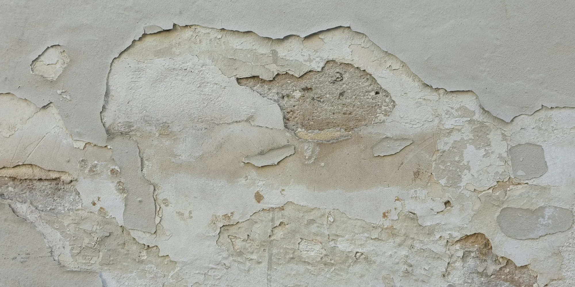 Comprehensive Mold Evaluation in Indianapolis | R2F Inspection