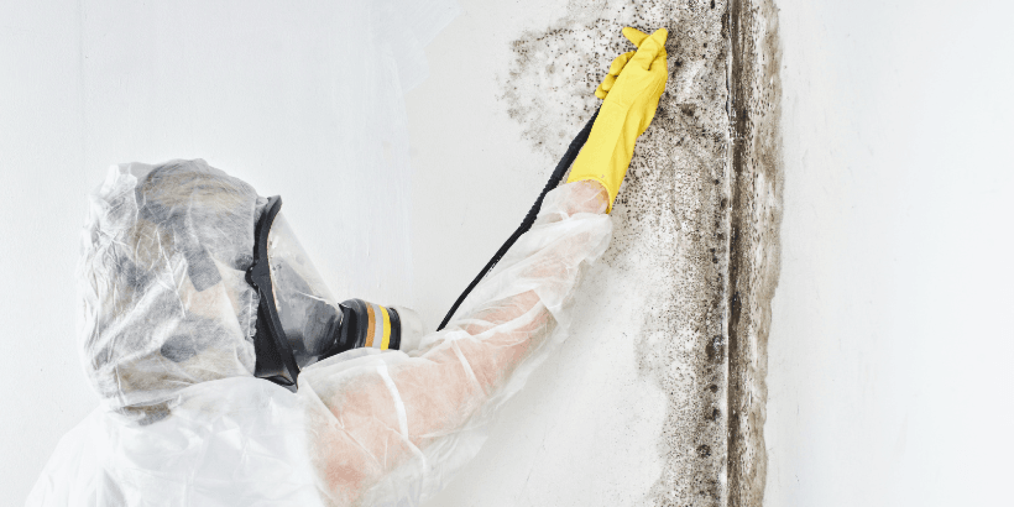 Mold Inspection in Indianapolis, IN | R2F Inspections
